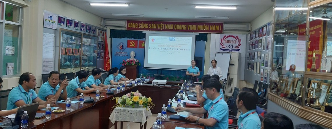 lean six sigma yellow belt domesco