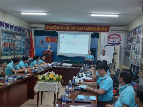 lean six sigma yellow belt domesco